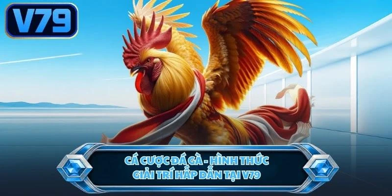 Cá Cược Đá Gà - Hình Thức Giải Trí Hấp Dẫn Tại V79