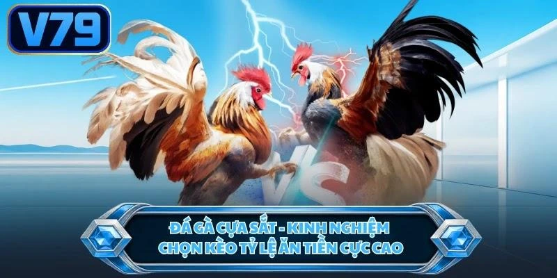 Đá Gà Cựa Sắt - Kinh Nghiệm Chọn Kèo Tỷ Lệ Ăn Tiền Cực Cao