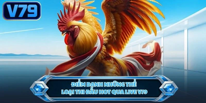 diem-danh-nhung-the-loai-thi-dau-hot-qua-live-v79 Điểm danh những thể loại thi đấu hot qua live V79