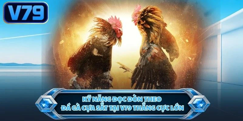 ky-nang-doc-don-theo-da-ga-cua-sat-tai-v79-thang-cuc-lon Kỹ năng đọc đòn theo đá gà cựa sắt tại V79 thắng cực lớn