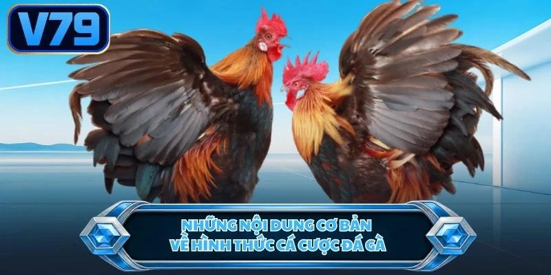 nhung-noi-dung-co-ban-ve-hinh-thuc-ca-cuoc-da-ga Những nội dung cơ bản về hình thức cá cược đá gà