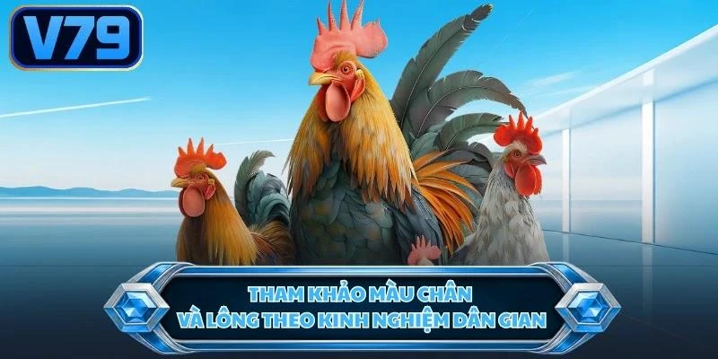 Tham khảo màu chân và lông theo kinh nghiệm dân gian