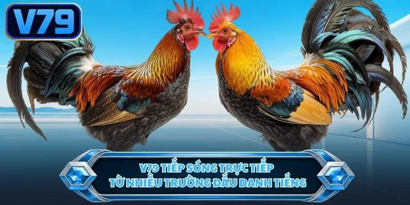 v79-tiep-song-truc-tiep-tu-nhieu-truong-dau-danh-tieng V79 tiếp sóng trực tiếp từ nhiều trường đấu danh tiếng